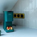 Appartement Tulipe *